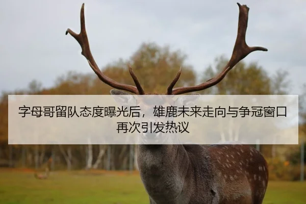 字母哥留队态度曝光后，雄鹿未来走向与争冠窗口再次引发热议